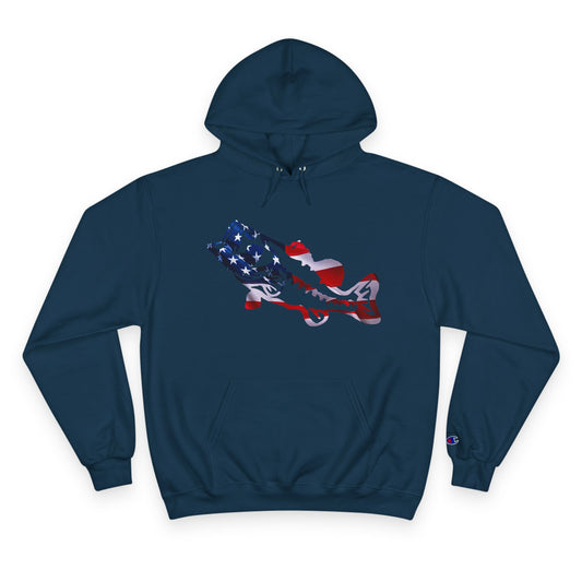 Proud American Fishing Champion Hoodie